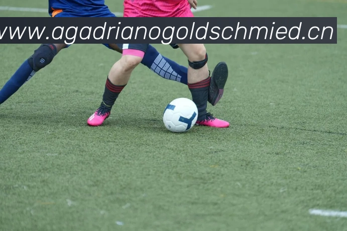 开云官方版入口平台生态图